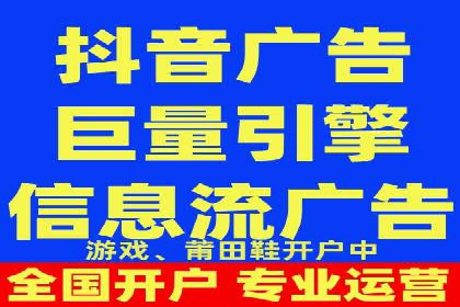 竞价托管与SEO结合的案例分析